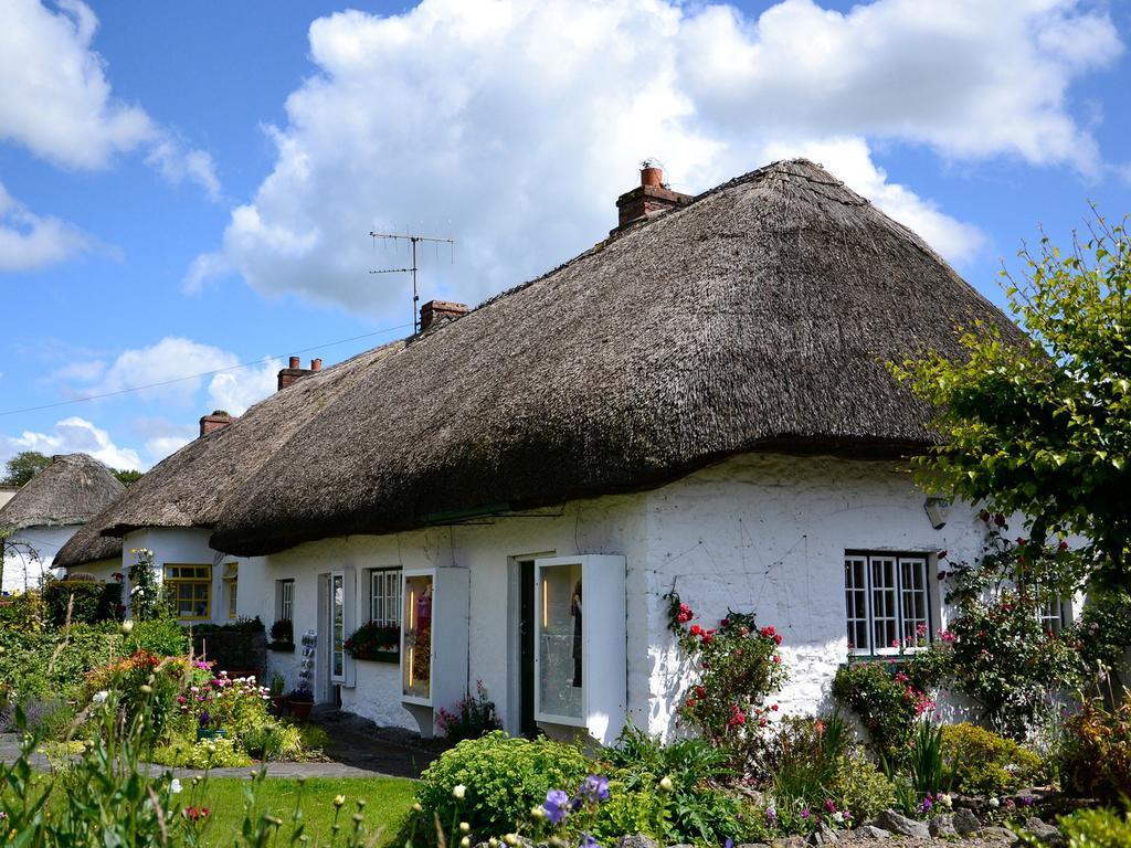 Ballycannon Lodge Croagh Dış mekan fotoğraf